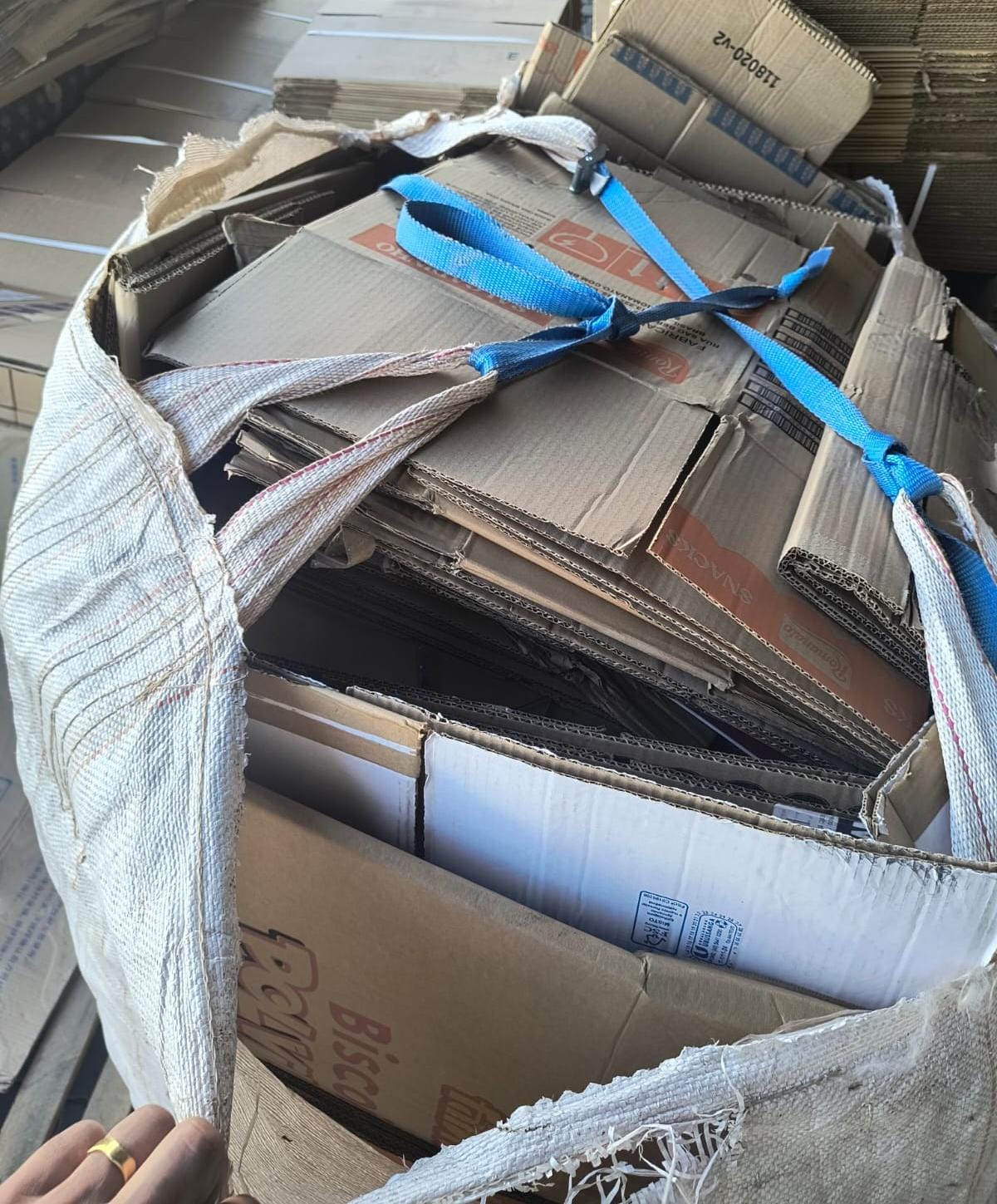 Triagem e processamento de materiais recicláveis
